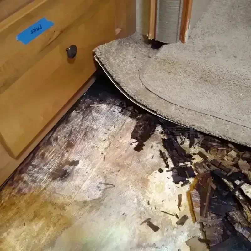 Wood Floor Water Damage in Aurora, IN